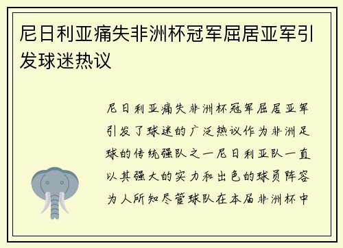 尼日利亚痛失非洲杯冠军屈居亚军引发球迷热议